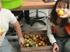 foto_013