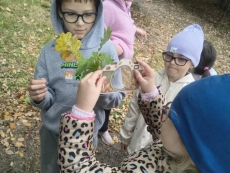 foto_003