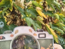 foto_005