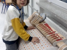 foto_008