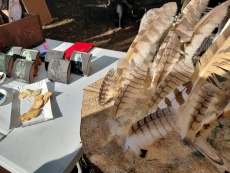 foto_006