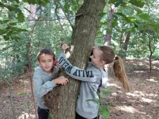 foto_008