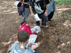 foto_010